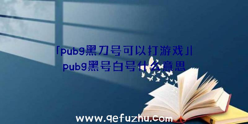 「pubg黑刀号可以打游戏」|pubg黑号白号什么意思